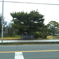 芝運動公園の写真・動画_image_1174579