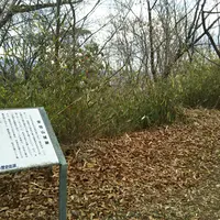 安倍山城跡の写真・動画_image_1174615