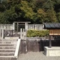 天武・持統天皇陵の写真・動画_image_117560
