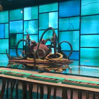 パトリック・ロジェの写真・動画_image_1177896