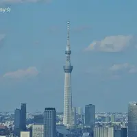 【閉業】世界貿易センタービル展望台の写真・動画_image_117833