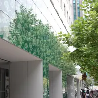 ＣＯＣＯＮＫＡＲＡＳＵＭＡの写真・動画_image_117917