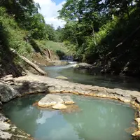 鹿の湯の写真・動画_image_117974