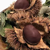 Installation Table ENSO L'asymetrie du calmeの写真・動画_image_1181039