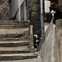 尾道駅の写真・動画_image_1181184