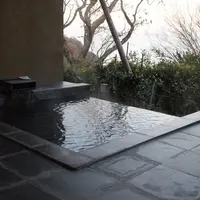 源泉と離れのお宿・月の写真・動画_image_118128