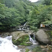 白谷雲水峡の写真・動画_image_118195