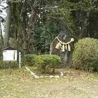 土舞台の写真・動画_image_1182687