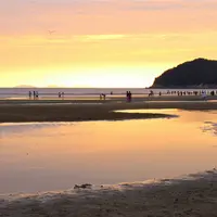 父母ヶ浜海岸の写真・動画_image_1184085