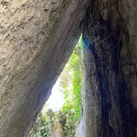 斎場御嶽の写真・動画_image_1185181