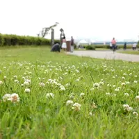 葛西臨海公園の写真・動画_image_118582