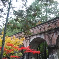 南禅寺の写真・動画_image_118653