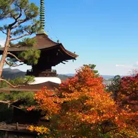 常寂光寺の写真・動画_image_118662