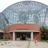 東京都夢の島熱帯植物館の写真・動画_image_118675