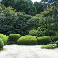 詩仙堂丈山寺の写真・動画_image_118824