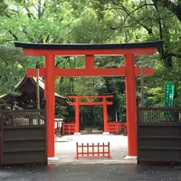 下鴨神社（賀茂御祖神社）の写真・動画_image_118830
