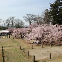 高梨館跡公園の写真・動画_image_118909
