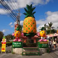 ナゴパイナップルパークの写真・動画_image_118957