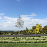 十勝ヒルズの写真・動画_image_118992