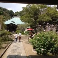 海蔵寺の写真・動画_image_119155