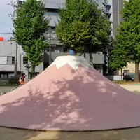 絶滅危惧名山「富士山」の写真・動画_image_119166