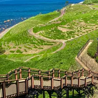 白米千枚田の写真・動画_image_1192259