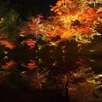 高台寺の写真・動画_image_119243