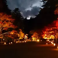 神護寺の写真・動画_image_119286
