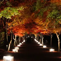 富士吉田市歴史民俗博物館の写真・動画_image_119293