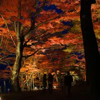 旭日丘湖畔緑地公園の写真・動画_image_119294