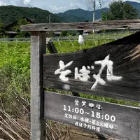 そば丸の写真・動画_image_1193237