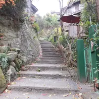 猫の細道の写真・動画_image_119472