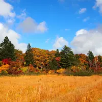ベコ谷地の写真・動画_image_119500
