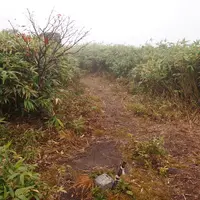 焼山の写真・動画_image_119506