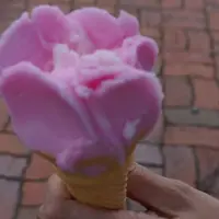 田沢湖郷土資料館の写真・動画_image_119585