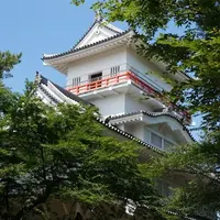 久保田城の写真・動画_image_119591