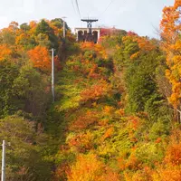 八幡山ロープウェーの写真・動画_image_119600