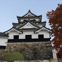 彦根城の写真・動画_image_119608