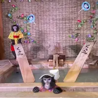 草津温泉おさるの湯もみ処～おさ湯の写真・動画_image_1196227