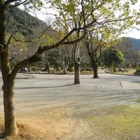 岐阜公園の写真・動画_image_119707