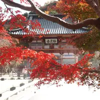 勝尾寺の写真・動画_image_119726