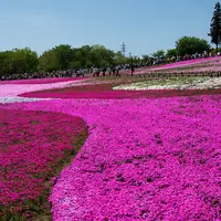 羊山公園の写真・動画_image_119940