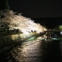 岡崎公園の写真・動画_image_119959