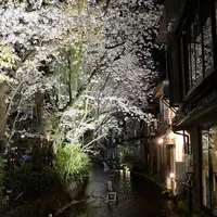 高瀬川の写真・動画_image_119962