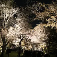 元離宮 二条城の写真・動画_image_119963