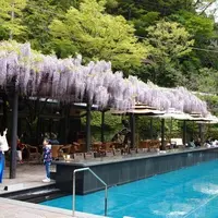 東府やベーカリー＆カフェの写真・動画_image_120254