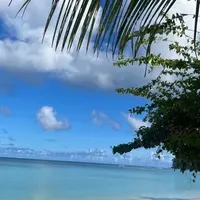 フジタ・ビーチの写真・動画_image_1203970
