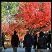 南禅寺の写真・動画_image_120428