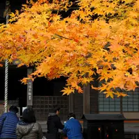 最勝院高徳庵の写真・動画_image_120431