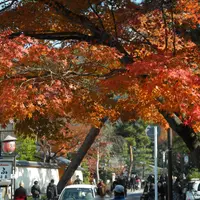 南禅寺の写真・動画_image_120433